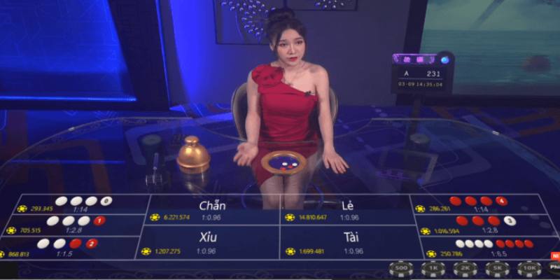 Chi tiết cách đặt cược Live Xóc Đĩa đến người mới bắt đầu